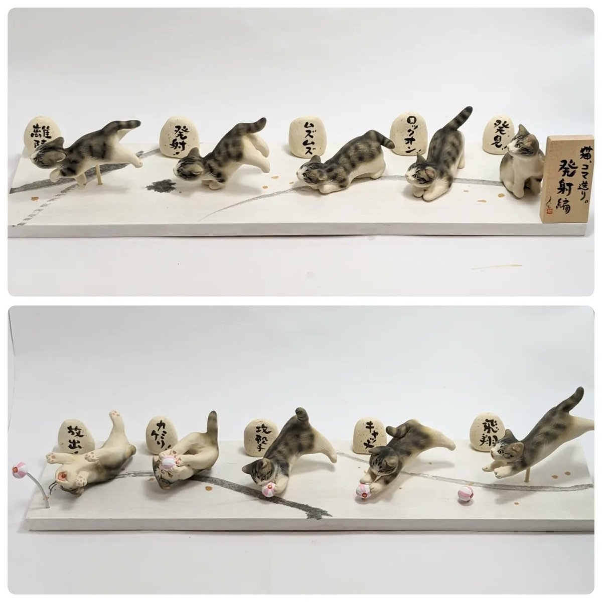 画像1: 猫、コマ送り〜発射編 (1)