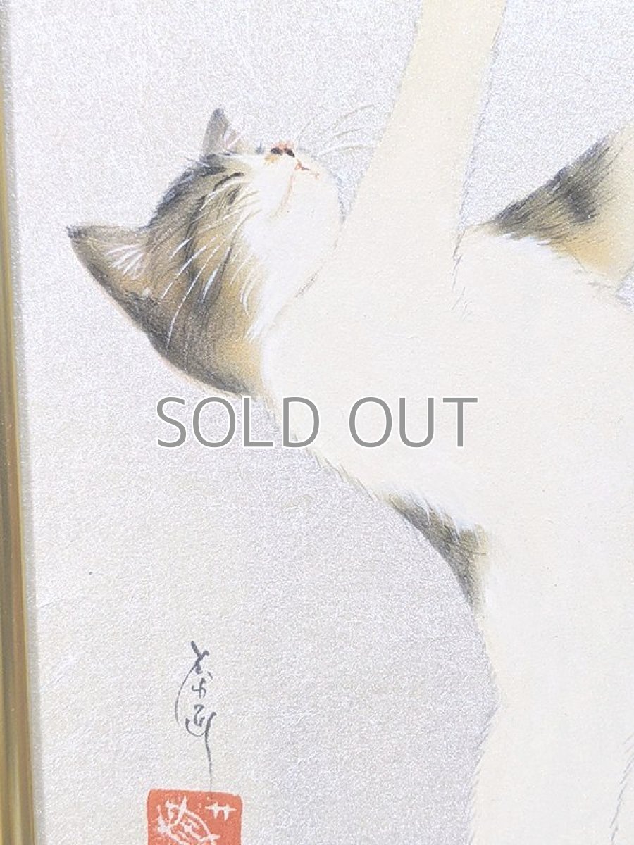 画像3: おくつろぎ。 (3)