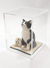 画像1: うちのこ作品用アクリルケース（各サイズあり） (1)