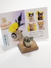 画像3: 香箱猫カードスタンド (3)