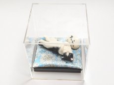 画像6: うちのこ作品用アクリルケース（各サイズあり） (6)