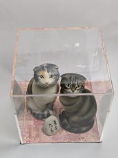 画像5: うちのこ作品用アクリルケース（各サイズあり） (5)