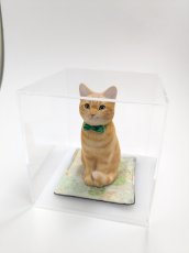 画像4: うちのこ作品用アクリルケース（各サイズあり） (4)