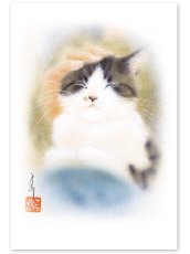 画像1: ひざのうえ。 (1)