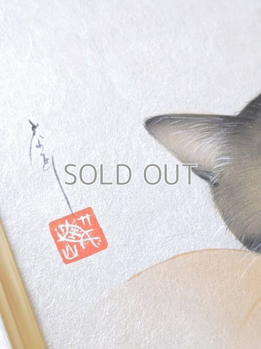 画像6: そこに猫がいる幸せ。 (6)