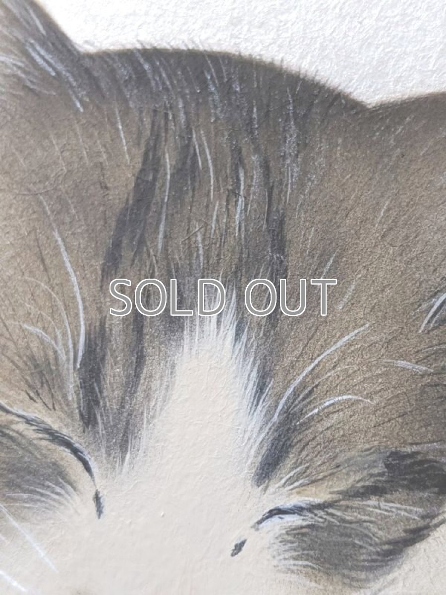 画像5: そこに猫がいる幸せ。 (5)