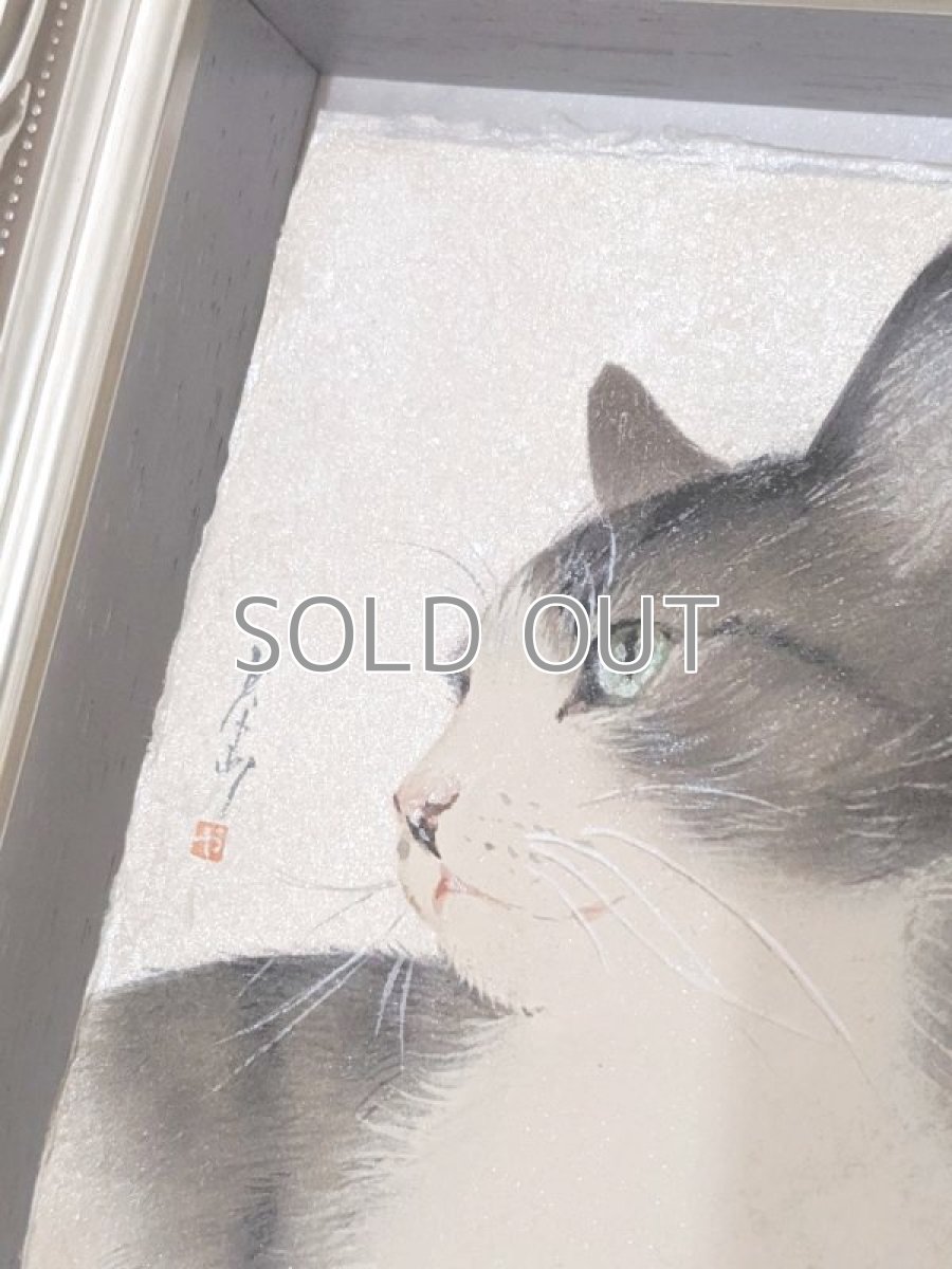 画像2: 視線の先。 (2)