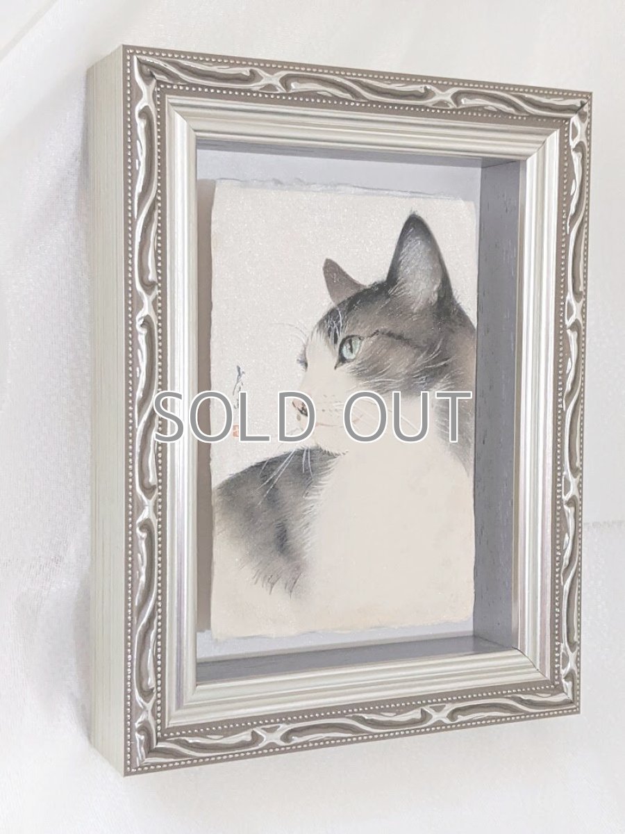 画像3: 視線の先。 (3)