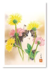 画像1: この花の向こうから。 (1)
