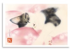 画像1: 微睡む。 (1)