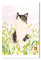 画像1: ねこじゃらし畑。 (1)