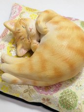 画像4: 眠り福猫　茶トラ招き寝 (4)